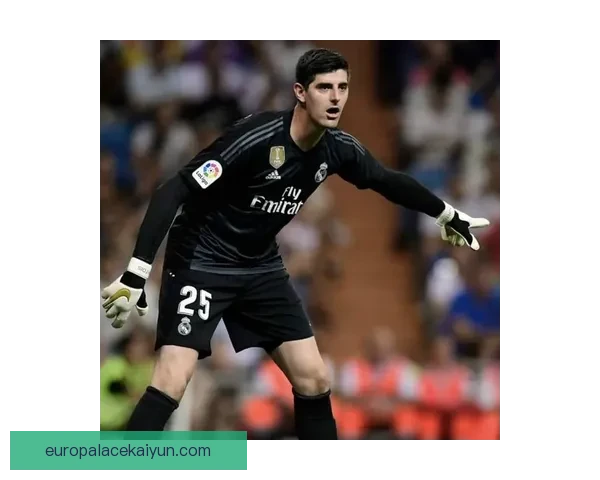 库尔图瓦最新伤病动态分析：恢复进展良好，有望随队训练