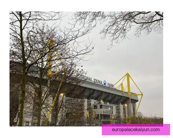 欧洲杯慕尼黑安联场馆特点与赛事承办能力分析